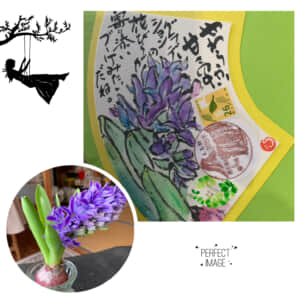 水栽培のヒヤシンス