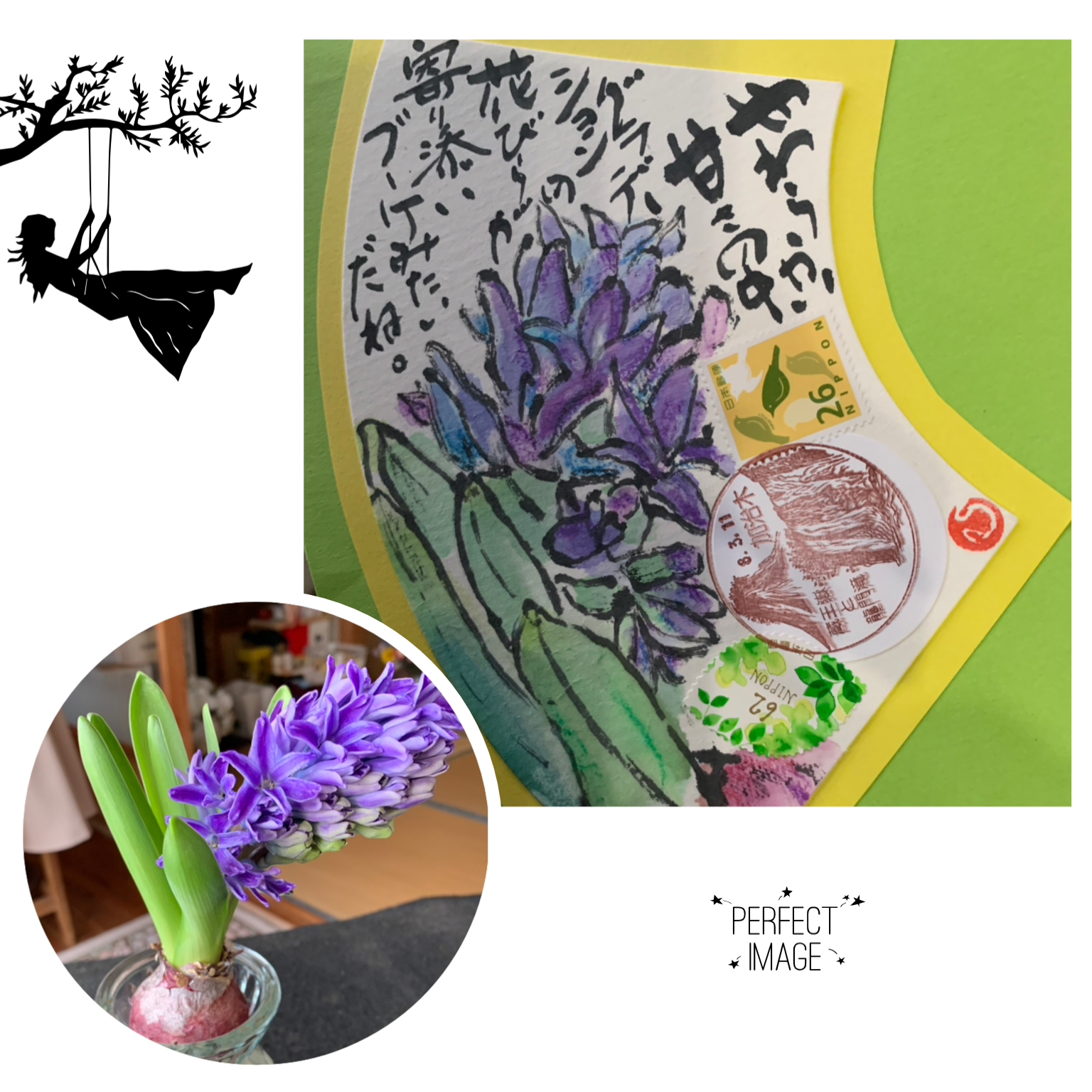 水栽培のヒヤシンス