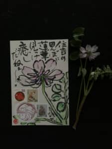 見るだけで癒しですねー‼️