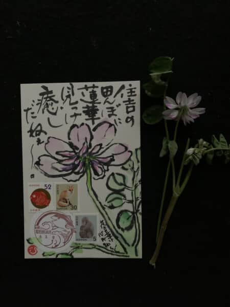 見るだけで癒しですねー‼️