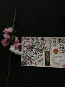 今年も咲きましたよ。