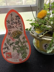 黄色のタンポポに元気頂き