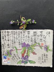 可愛い花なのに❗️