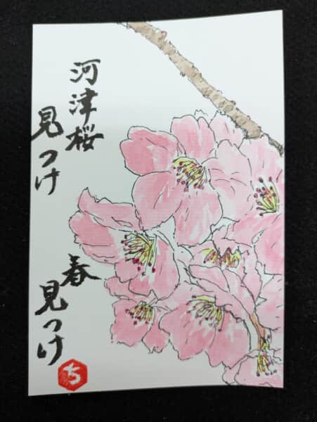 河津桜