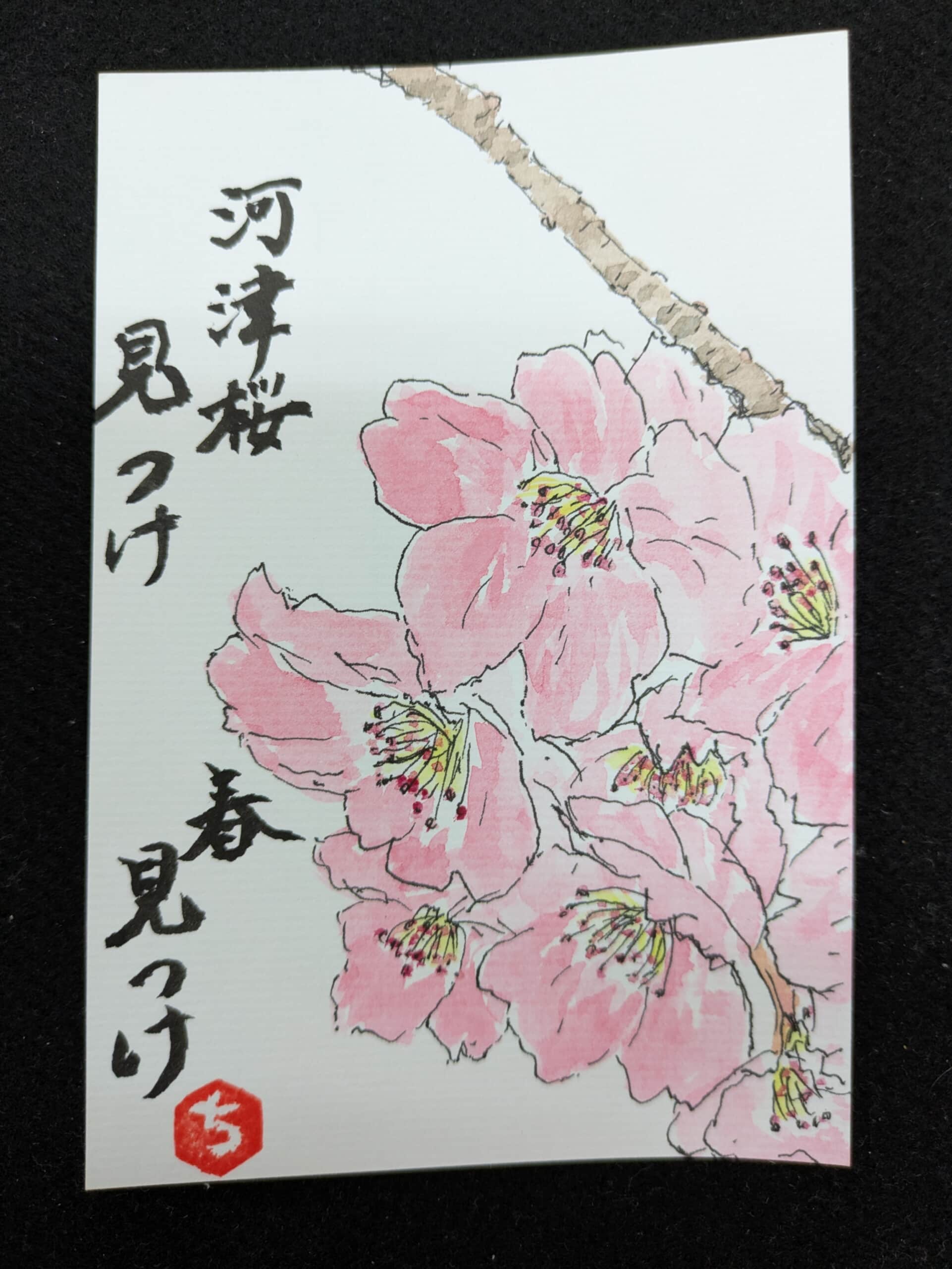 河津桜