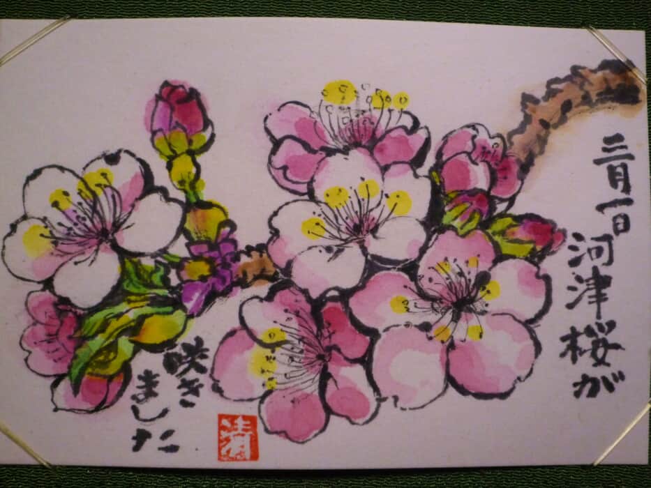 河津桜
