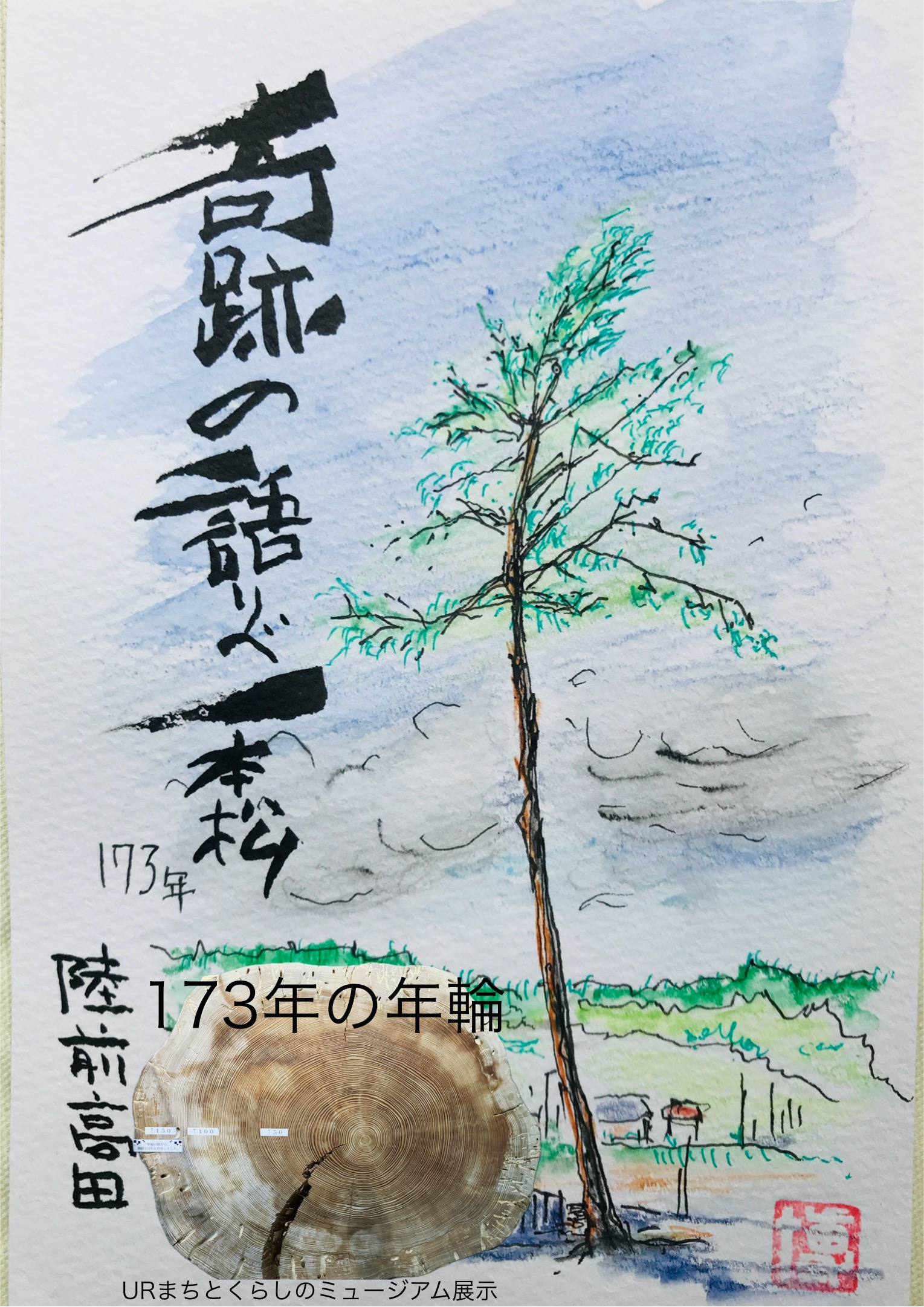 奇跡の語り部一本松