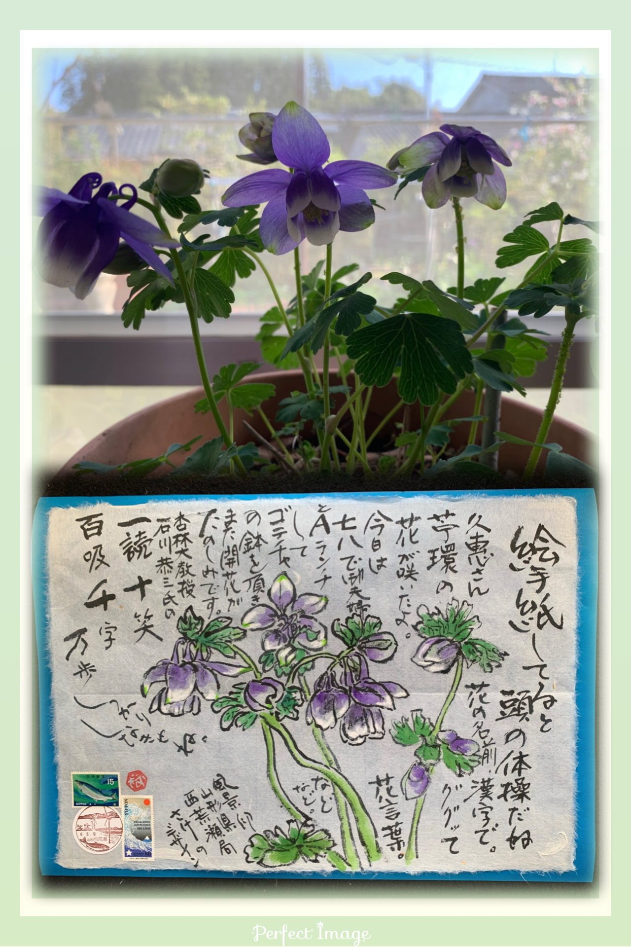 頭の体操⁉️