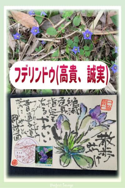 散歩って良いね〜‼️