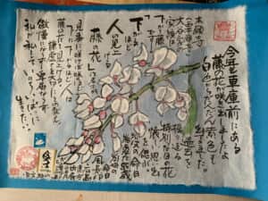 午年も咲きましたよ‼️