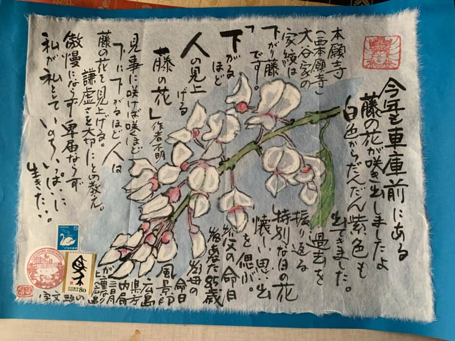 午年も咲きましたよ‼️