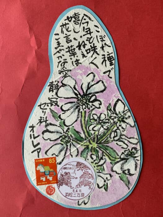 白色が爽やかです。