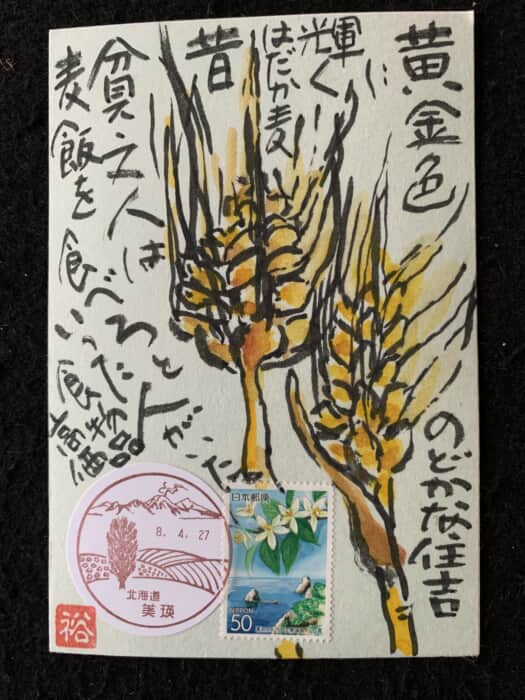 長閑な住吉の田んぼ❗️