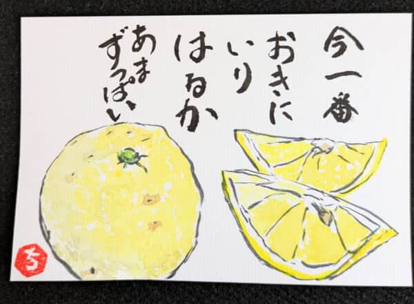 私のお気に入りのはるか