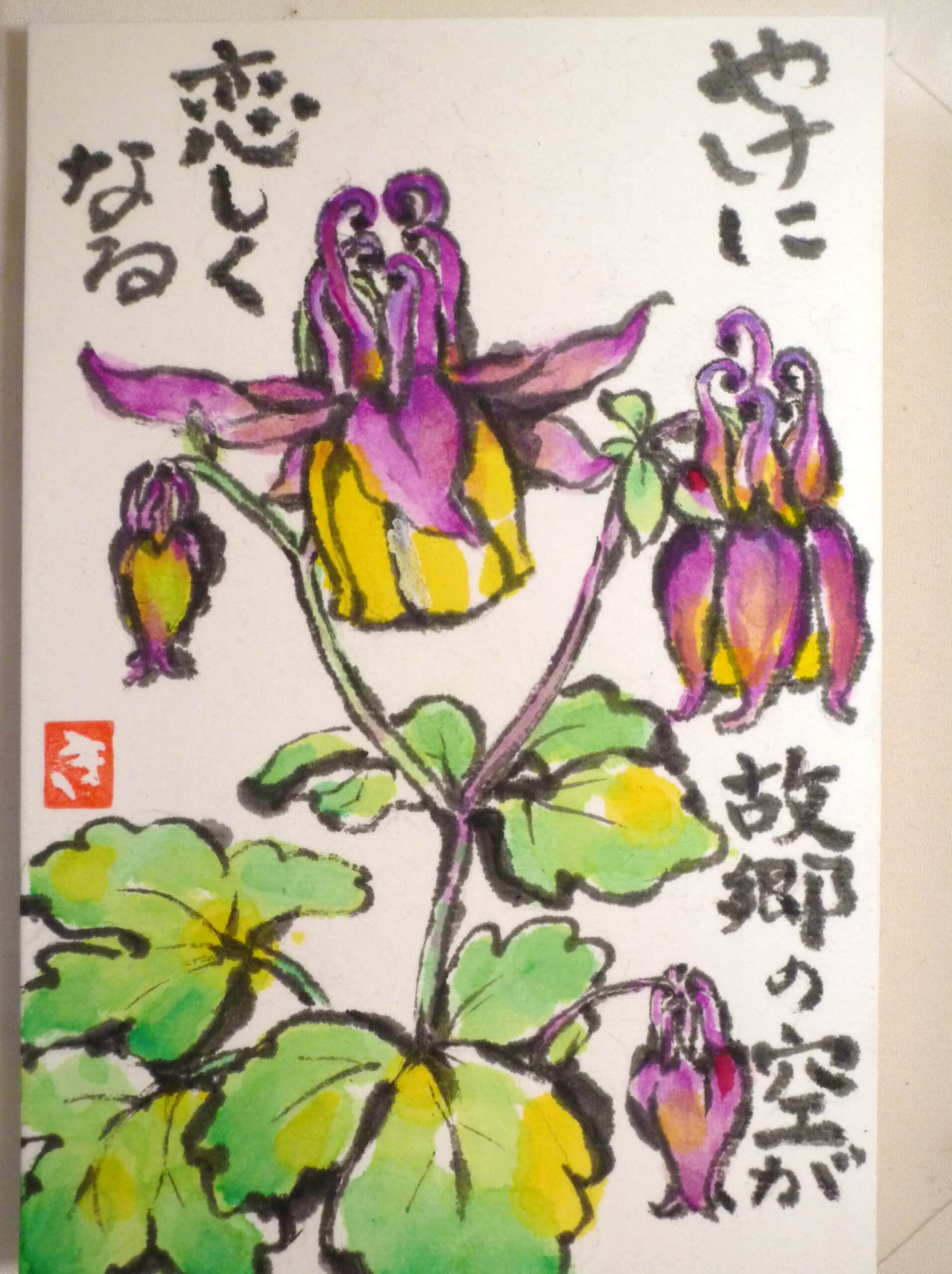 ヤマオダマキ