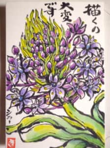 シラーぺルビアナ