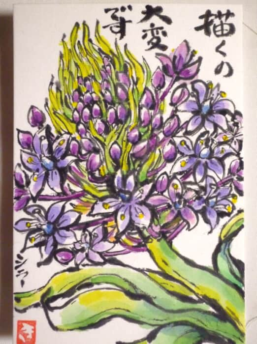 シラーぺルビアナ