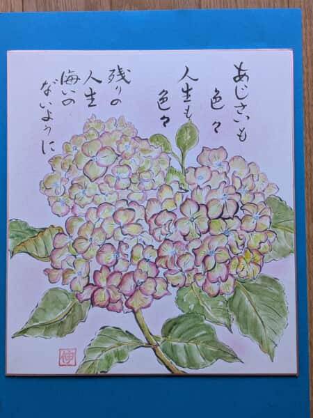 紫陽花