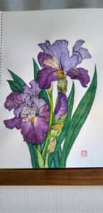 5月