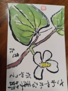 さわやかな季節