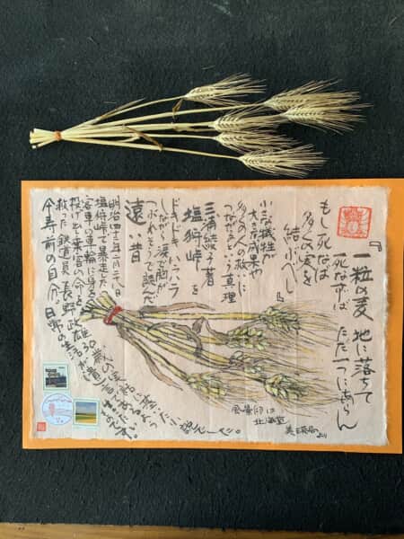 麦を見て思い出す