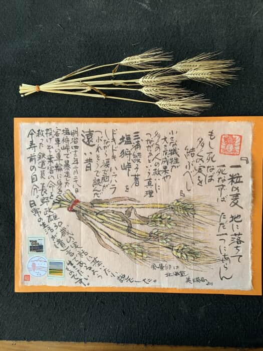 麦を見て思い出す