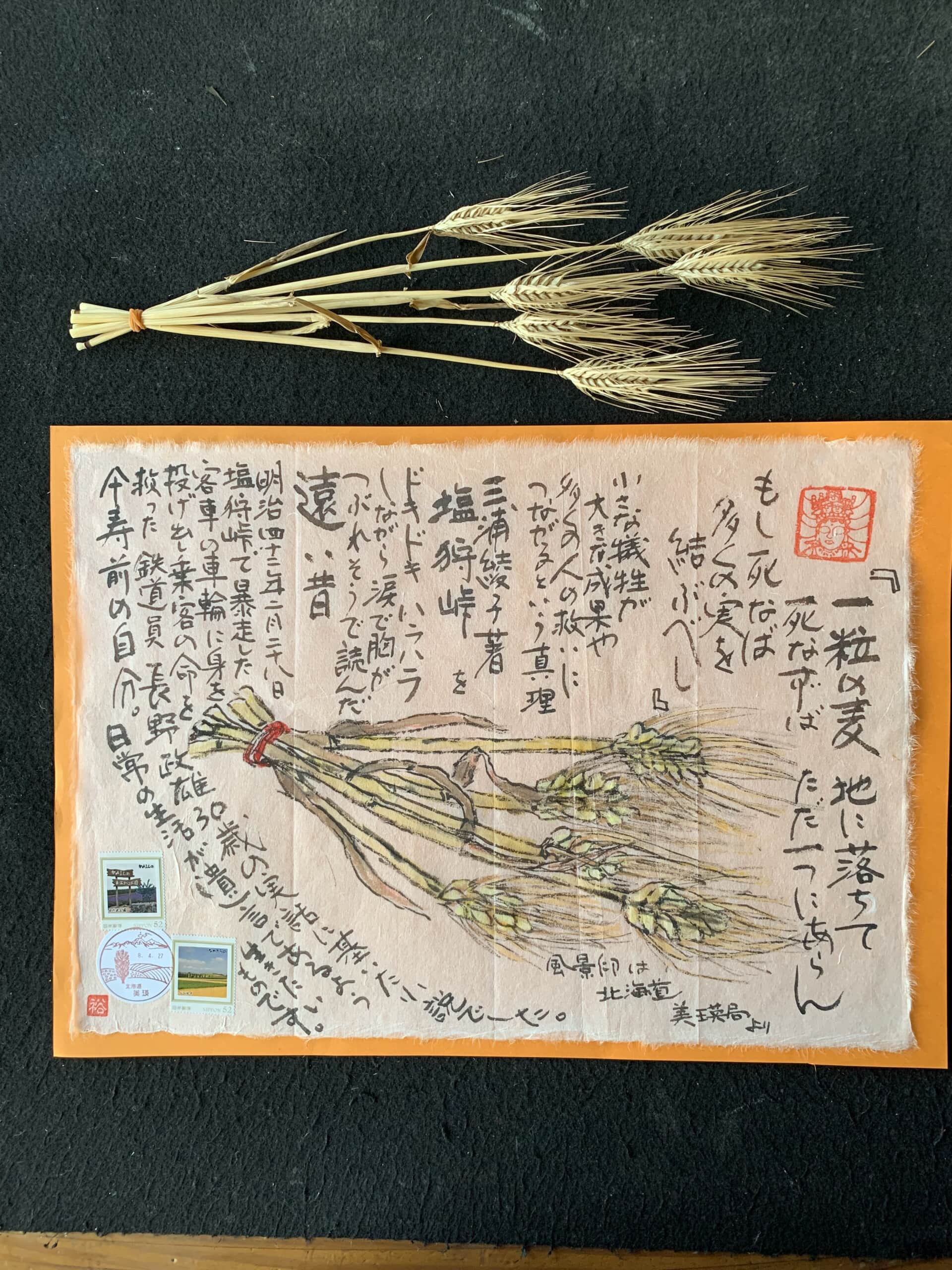 麦を見て思い出す