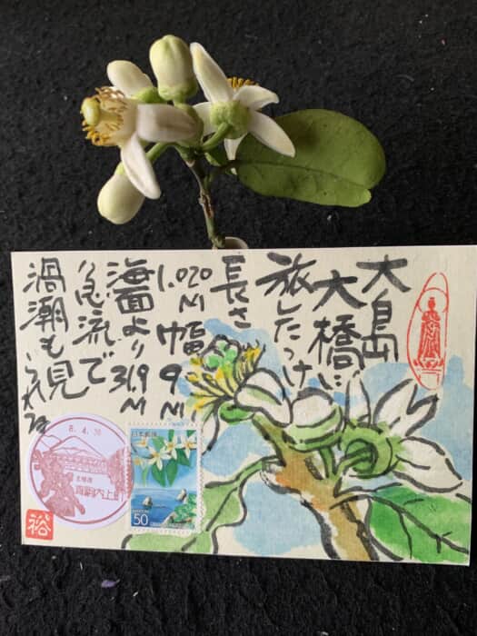 みかんの花が咲きました。