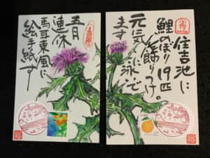 住吉池に鯉のぼり設置。