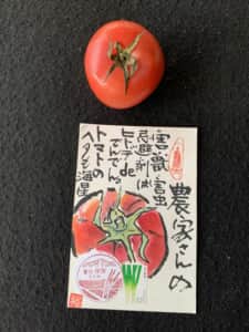 ヒトデも効き目があるんです。