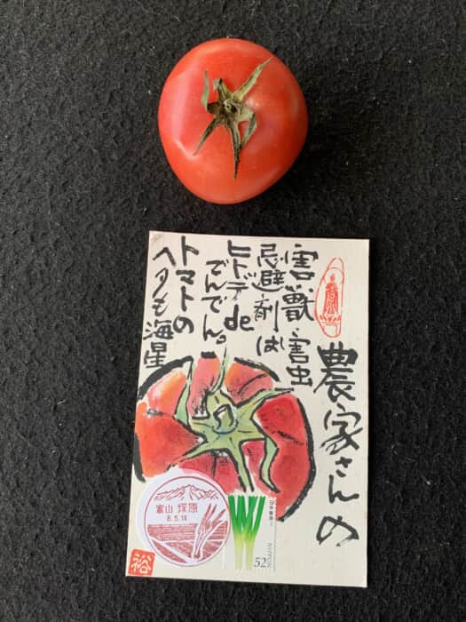 ヒトデも効き目があるんです。