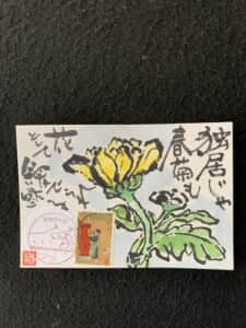 春菊の花も飾って良し‼️