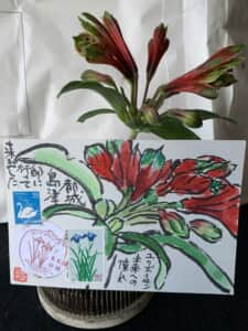 未来への憧れと言う花言葉です。