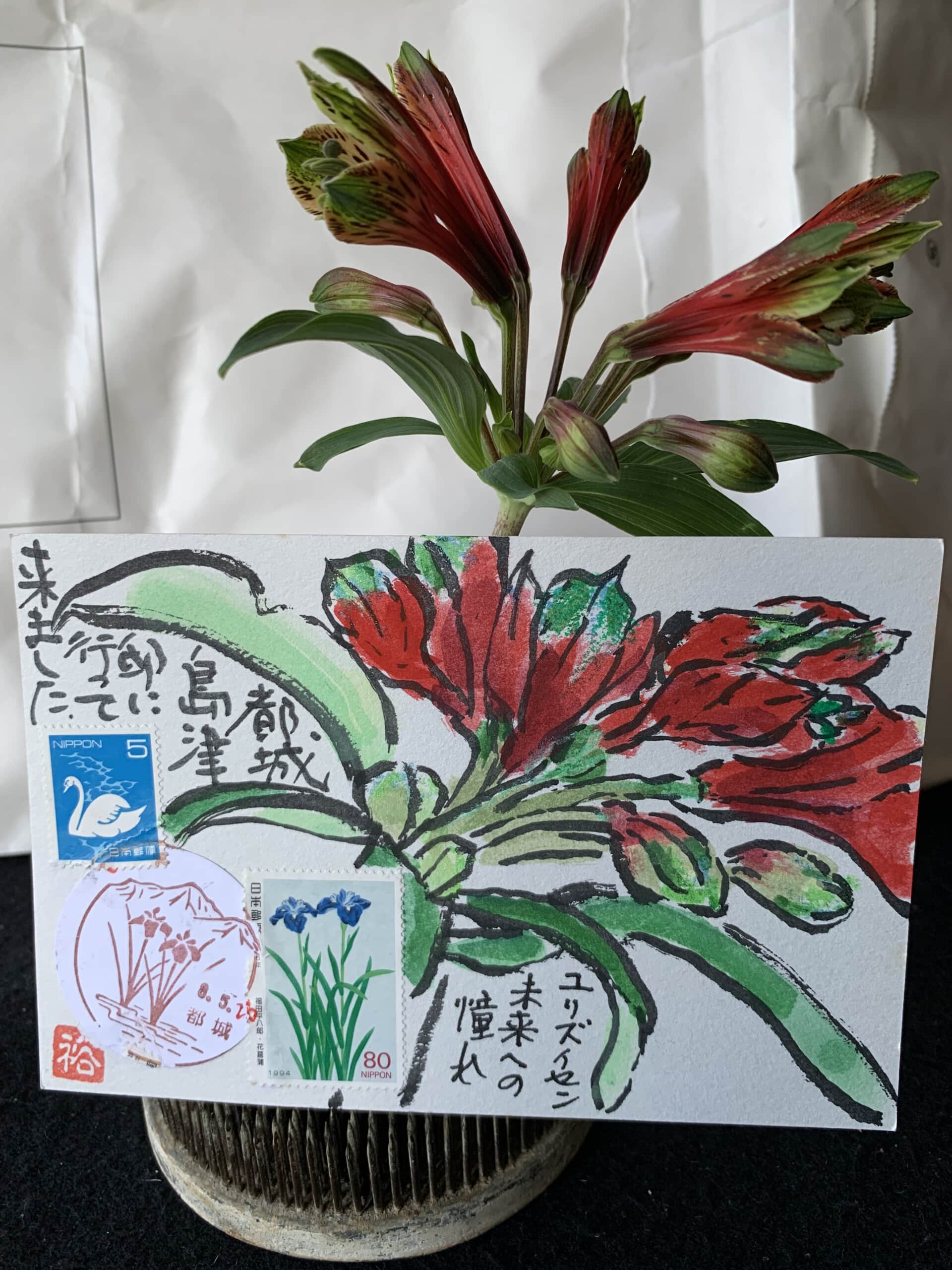 未来への憧れと言う花言葉です。