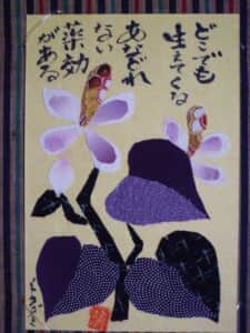 ドクダミ