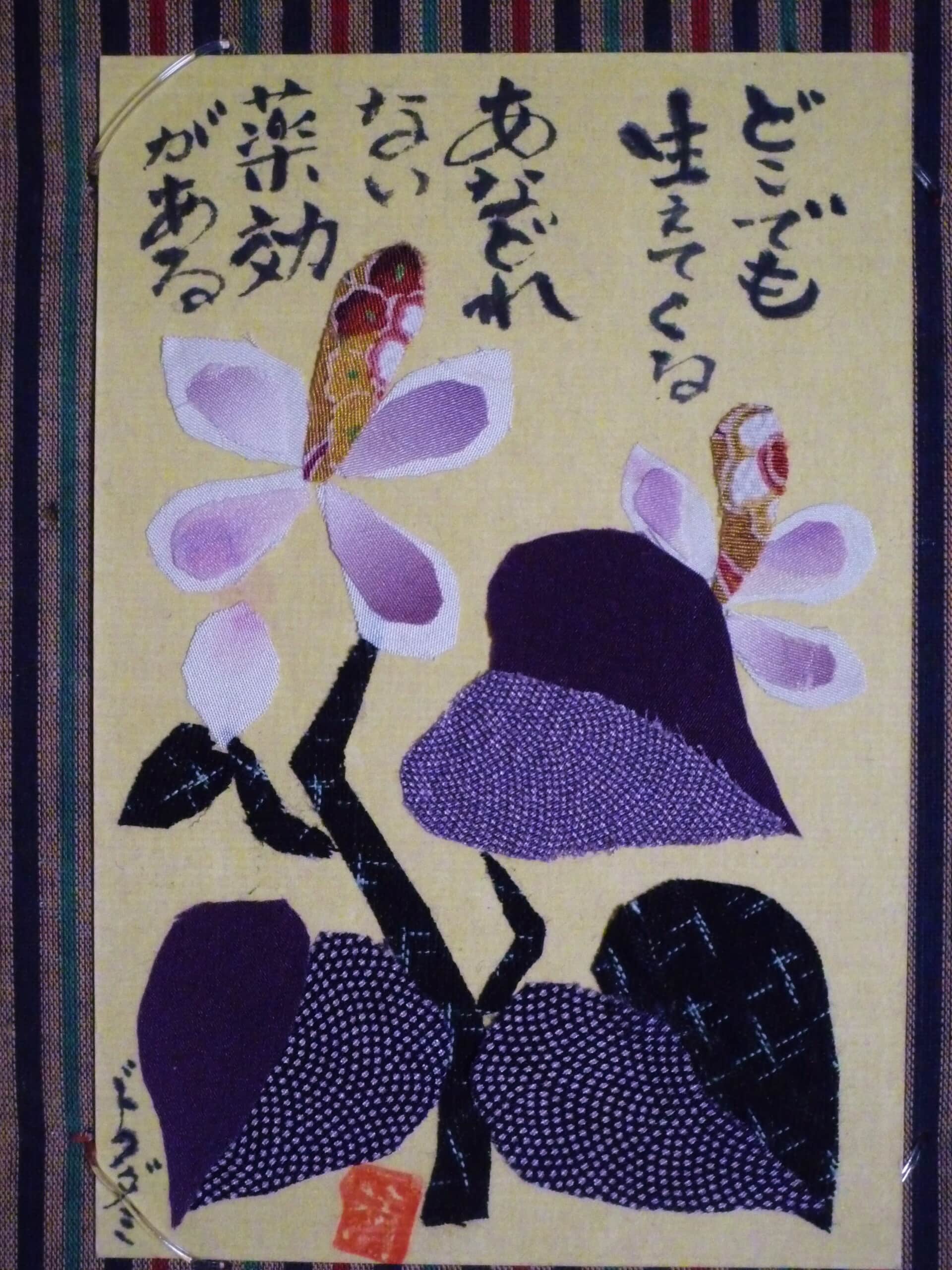ドクダミ