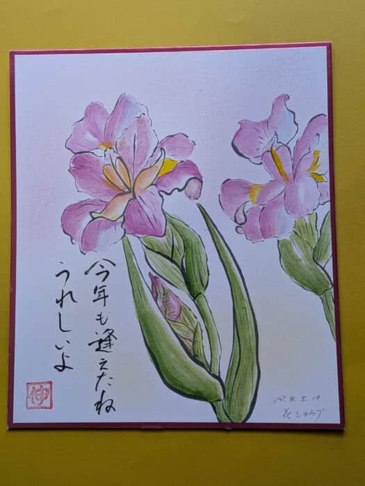 花菖蒲