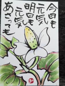 ドクダミ