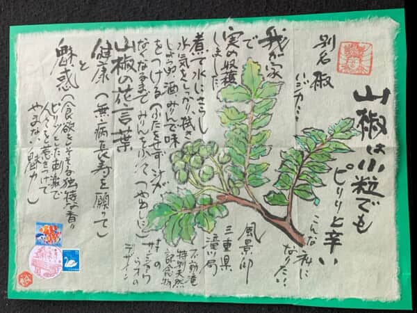 我が家の初山椒収穫