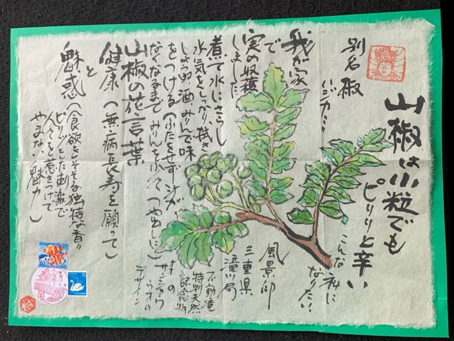 我が家の初山椒収穫