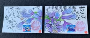 花火じゃないよ‼️