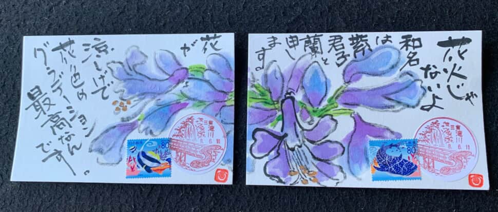 花火じゃないよ‼️