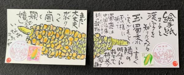 とうもろこしは美味しいですね。