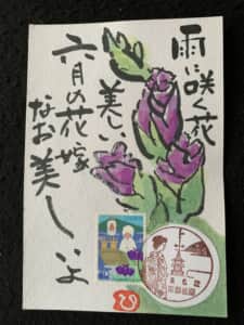六月の花嫁