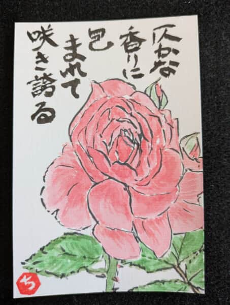 薔薇
