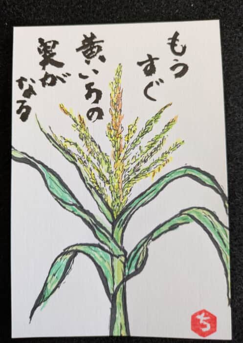 とうもろこし