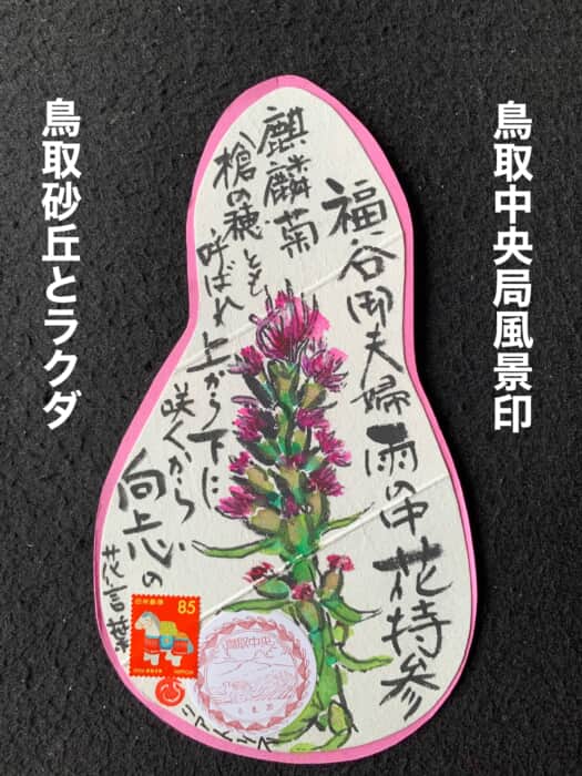 ♪月の砂漠♪長閑だね〜‼️