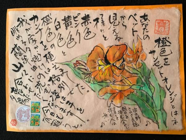 サンセットオレンジ色のカンナ