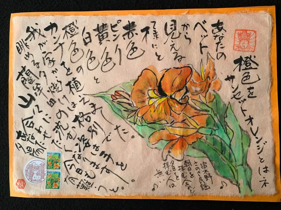 サンセットオレンジ色のカンナ