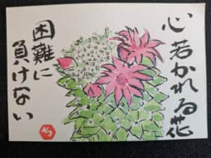 サボテンの花